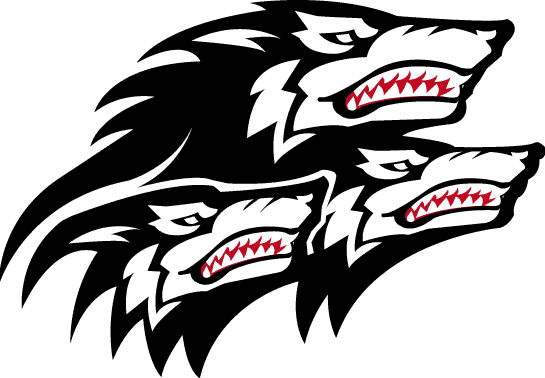 North Carolina State Wolfpack 1999-2005 Alternate Logo diy fabric transfer
